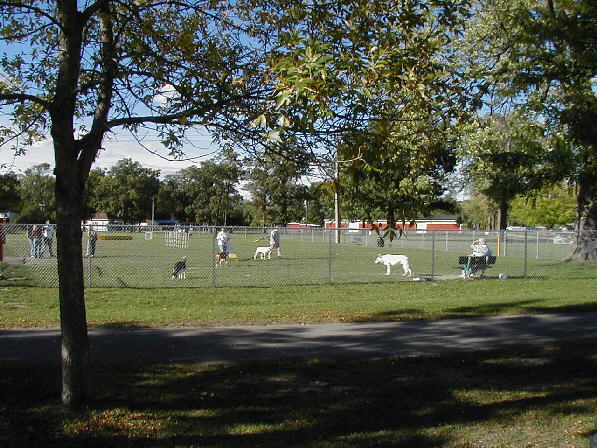 Bay County Dog Park